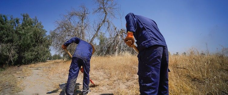 Climate Change and Migration in the Land of Two Rivers