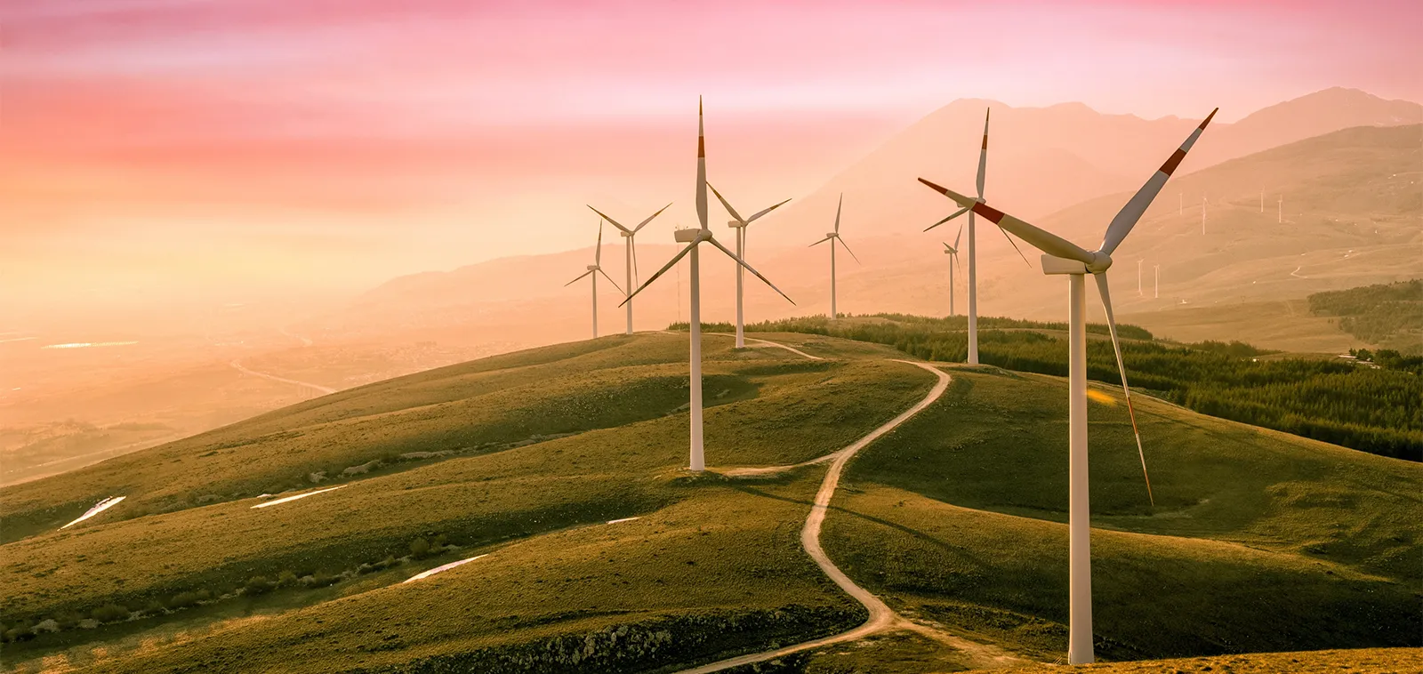 Combatting the Climate Crisis