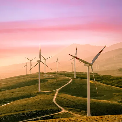 Combatting the Climate Crisis