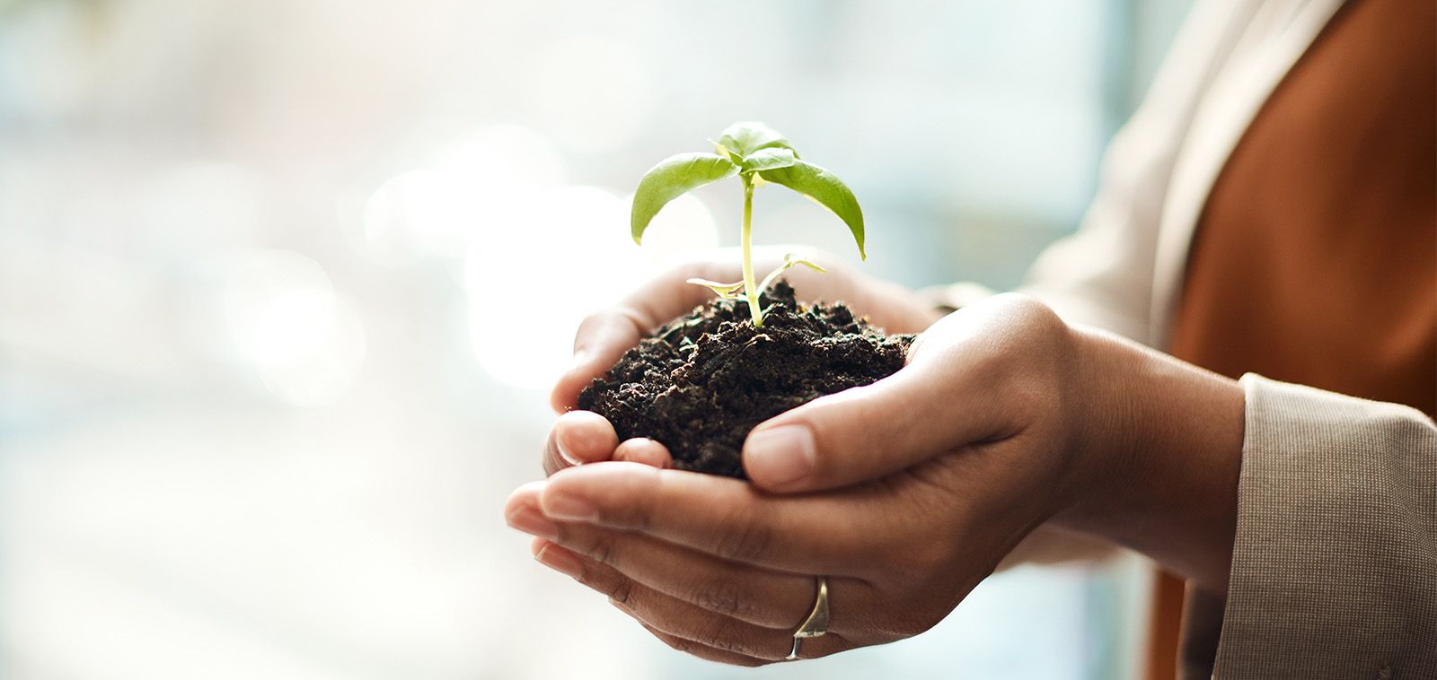 Instagram Follower Growth Campaign for TAZIZ – ADNOC (UAE)
