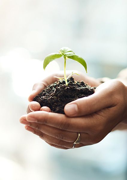 Instagram Follower Growth Campaign for TAZIZ – ADNOC (UAE)